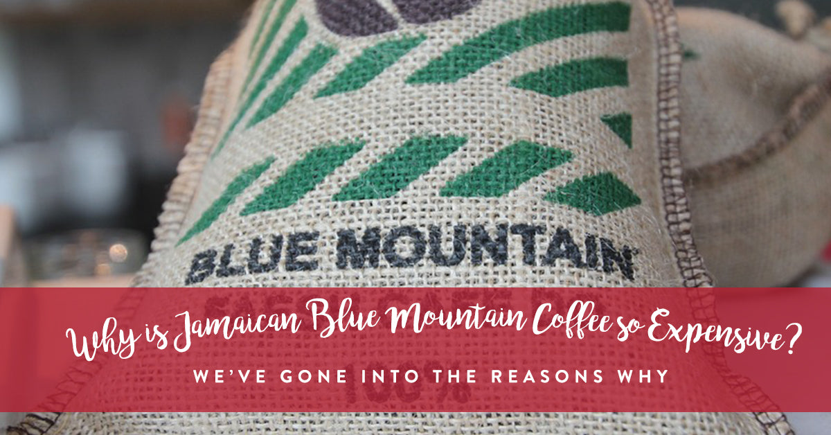 Why Jamaican Blue Mountain Coffee is Typically More Expensive