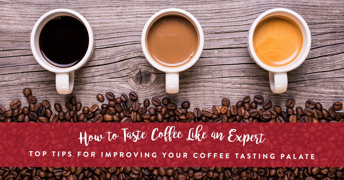 Understanding the Fundamentals of Coffee Flavor