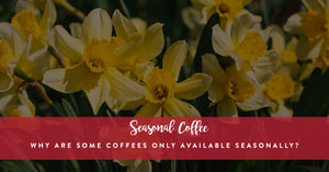 Why are Some Coffees Only Available Seasonally?