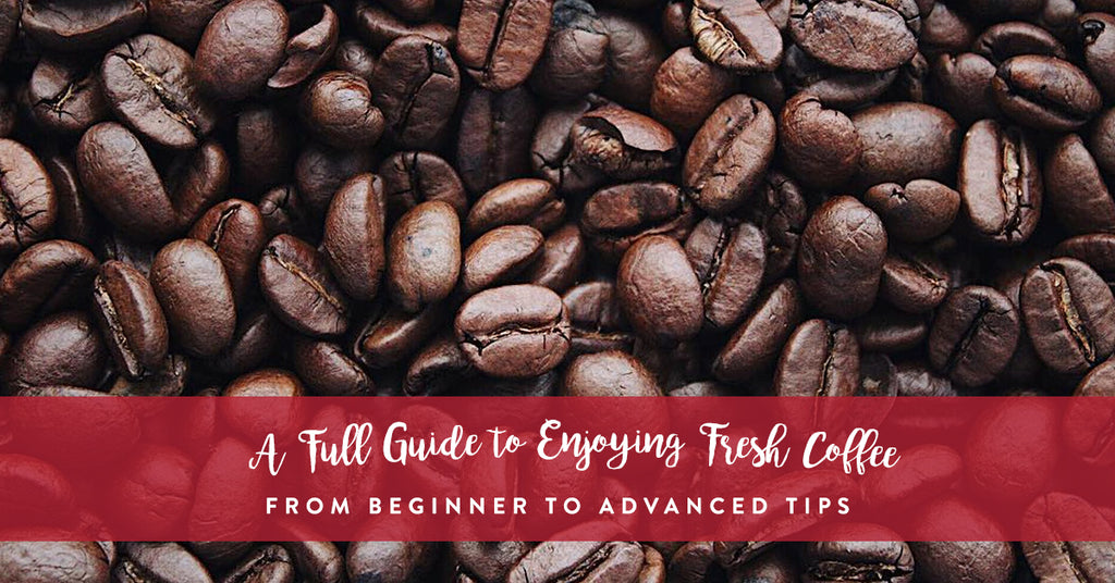A full guide to enjoying fresh coffee