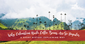 Why Colombian Huila coffee beans are so popular