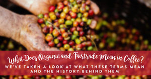 What Does Organic and Fairtrade Mean in Coffee?