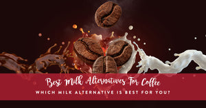 Best Plant Based Milk Alternatives for Coffee
