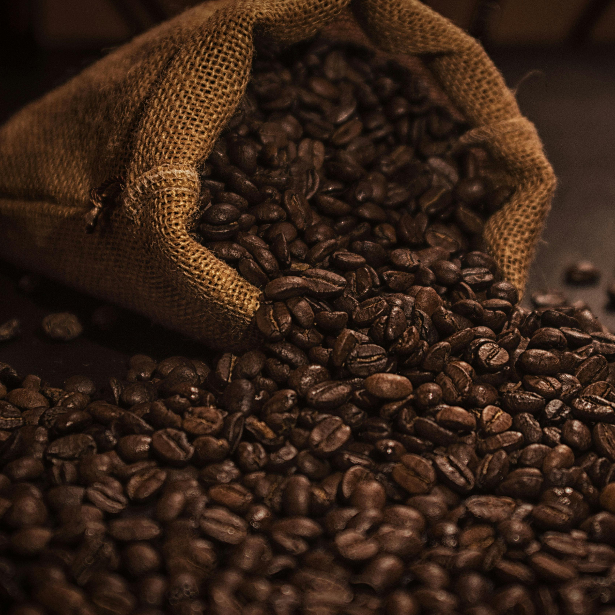 The Roaster’s Choice: A Curated Coffee Journey